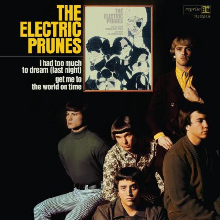 The Electric Prunes - The Electric Prunes (LP) | Fiftiesstore