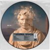 The Offspring - Splinter (Picture Disc) (Record Store Day 2024) LAATSTE STUKS | 13% korting (LP) | Fiftiesstore