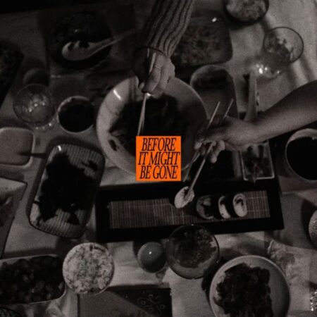 The Vices - Before It Might Be Gone: Deluxe (Groene Bladeren Vinyl) (Record Store Day 2026) 10" Vinyl | Fiftiesstore