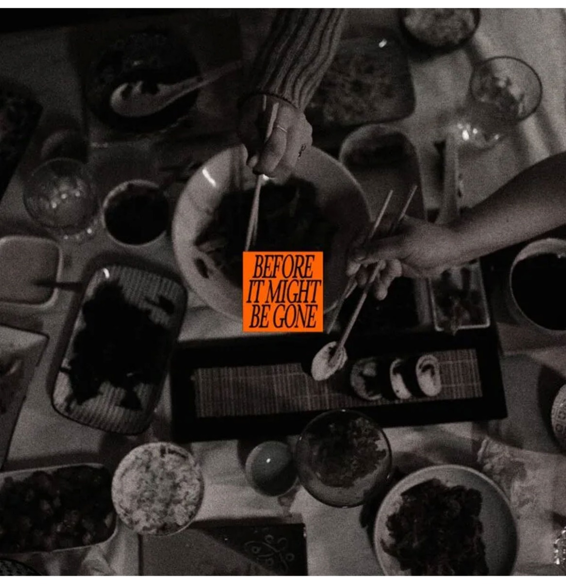 The Vices - Before It Might Be Gone: Deluxe (Groene Bladeren Vinyl) (Record Store Day 2026) 10" Vinyl | Fiftiesstore