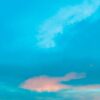 Thirty Seconds To Mars - It's The End Of The World But It's A Beautiful Day LAATSTE STUKS | 19% korting (LP) | Fiftiesstore