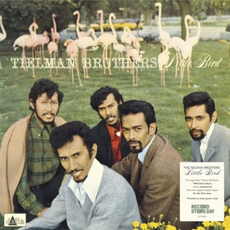 Tielman Brothers - Little Bird (Mosgroen Vinyl) (Record Store Day 2026) (LP) | Fiftiesstore