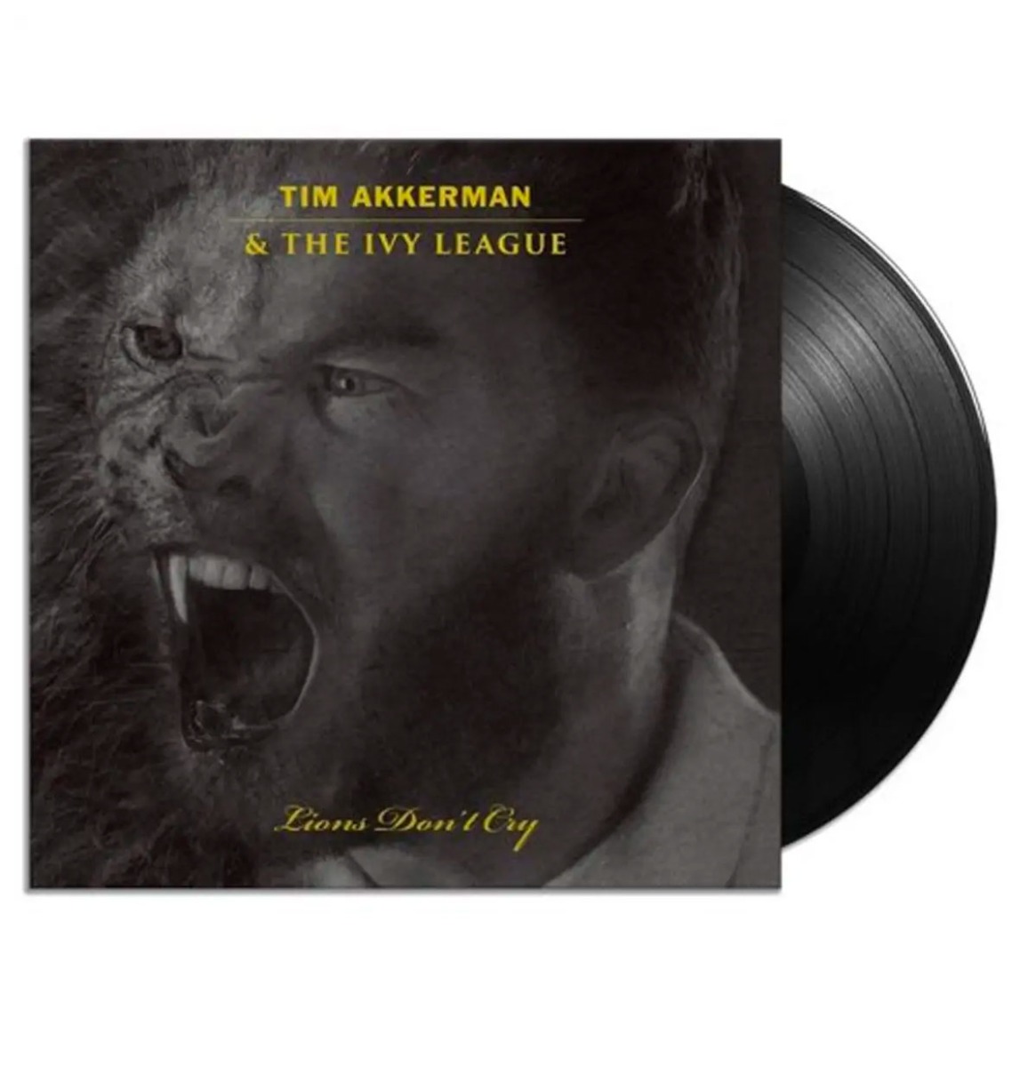 Tim Akkerman & The Ivy League - Lions Don't Cry GESIGNEERD (LP) | Fiftiesstore