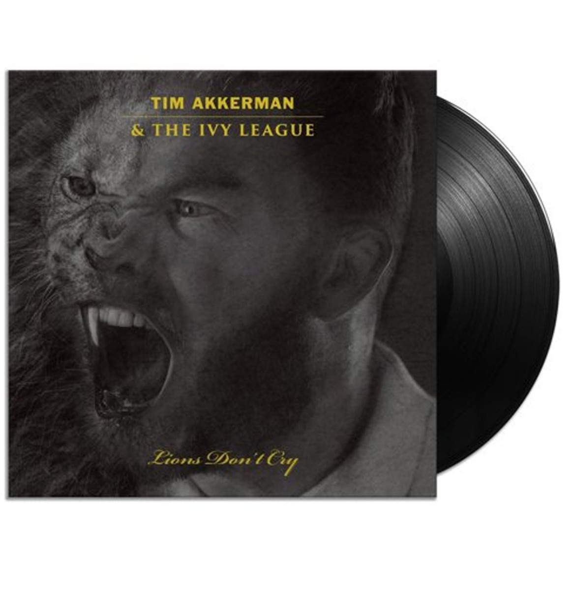 Tim Akkerman & The Ivy League - Lions Don't Cry (LP) | Fiftiesstore