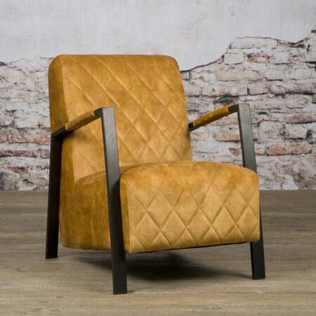 Tower Living Fauteuil 'Villa' Velvet
