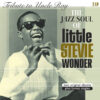 Tribute To Uncle Ray & The Jazz Soul Of Little Stevie Wonder 2- (LP) | Fiftiesstore
