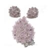 True Vintage 3 pc Set Broche & Oorbellen Lila Bloesem Zilver | Fiftiesstore