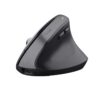 Trust BAYO+ ERGONOMIC WIRELESS MOUSE Muis Zwart | Trust
