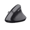 Trust TM-270 Ergonomic Draadloze Muis Muis Zwart | Trust