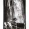 Urban Cotton Wandkleed 'Germinate' 145 x 190cm in Floating Frame - black | Urban Cotton