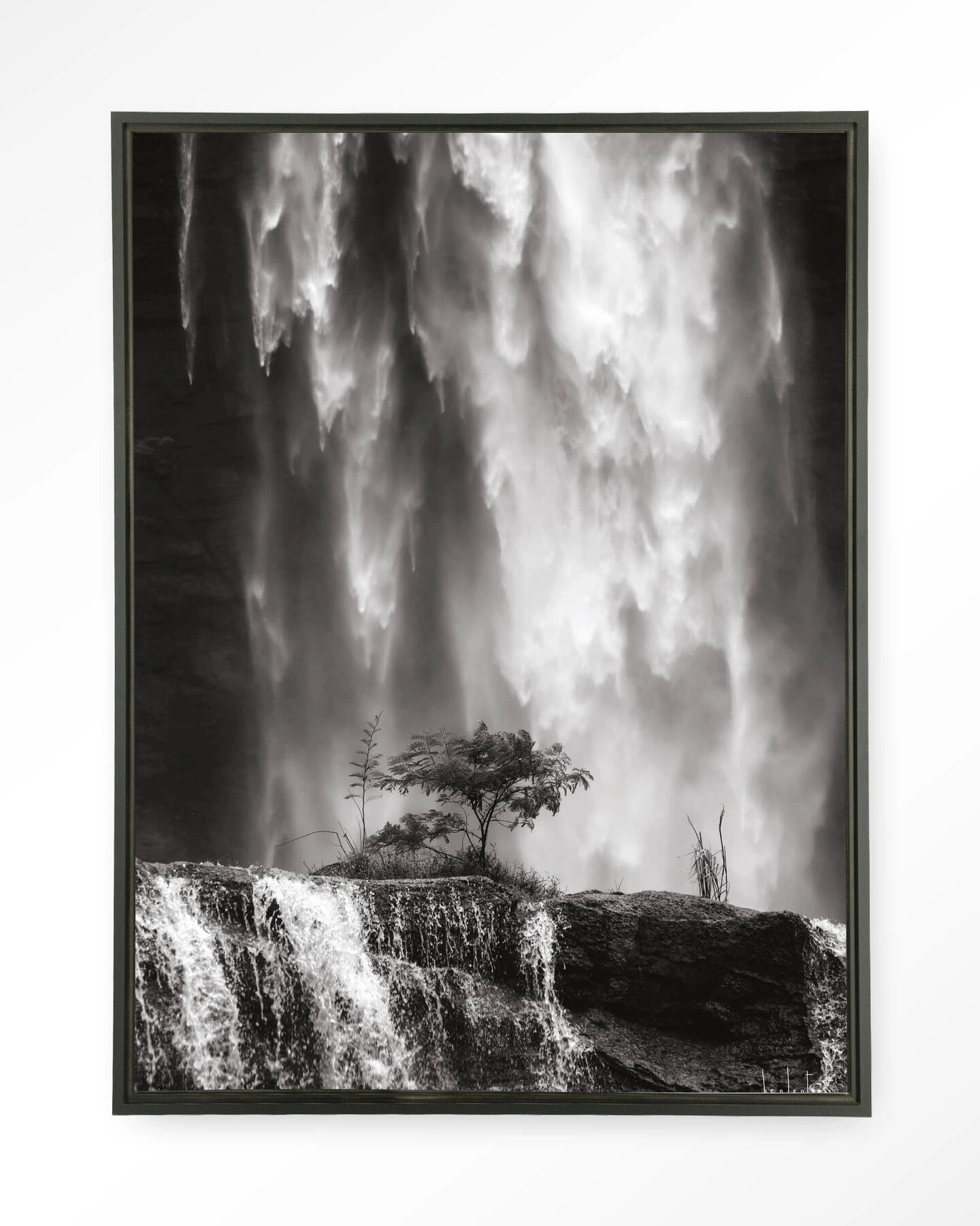Urban Cotton Wandkleed 'Germinate' 145 x 190cm in Floating Frame - black | Urban Cotton