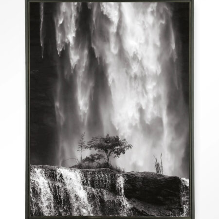 Urban Cotton Wandkleed 'Germinate' 80 x 110cm in Floating Frame - black | Urban Cotton