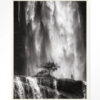 Urban Cotton Wandkleed 'Germinate' 80 x 110cm in Floating Frame - off white | Urban Cotton