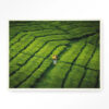 Urban Cotton Wandkleed 'Tote Pengalengan' 110 x 145cm in Floating Frame - off white | Urban Cotton