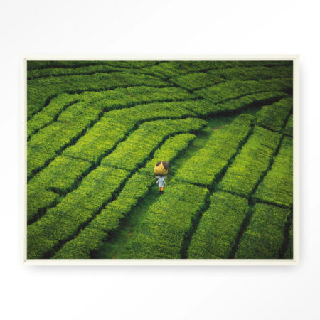 Urban Cotton Wandkleed 'Tote Pengalengan' 80 x 110cm in Floating Frame - off white | Urban Cotton