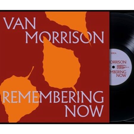 Van Morrison - Remembering Now 2 (LP) | Fiftiesstore
