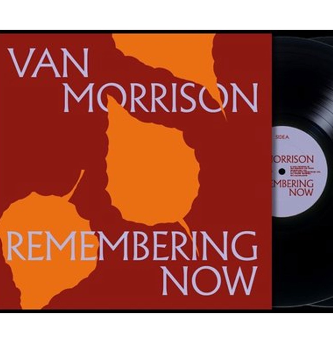 Van Morrison - Remembering Now 2 (LP) | Fiftiesstore