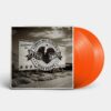 Various Artists - Petty Country (A Country Music Celebration Of Tom Petty) (LP) | Fiftiesstore
