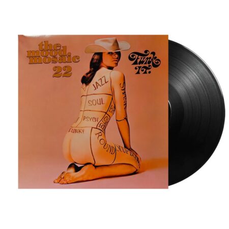 Various Artists - The Mood Mosaic 22 - Funk It 2 (LP) | Fiftiesstore