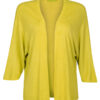 Vest Chantal Lime Groen | Fashionize