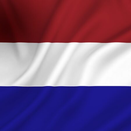 Vlag Nederland 50x75 cm spun-poly | Dokkumer Vlaggen Centrale