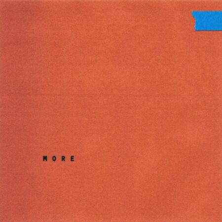 Wallows - More (Groen Wit Vinyl) (Record Store Day 2025) 12" Vinyl | Fiftiesstore