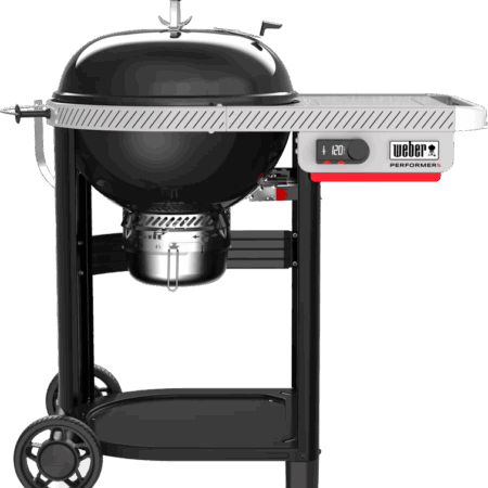 Weber Performer Smart