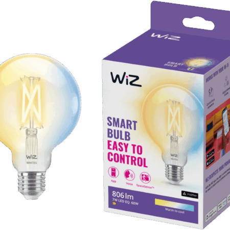 WiZ Globe Filament - Warm tot Koelwit Licht - E27 - Transparant