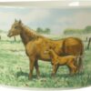 Wiebe's Farm Kom paard Ø13cm 6st | Wiebe van der Zee