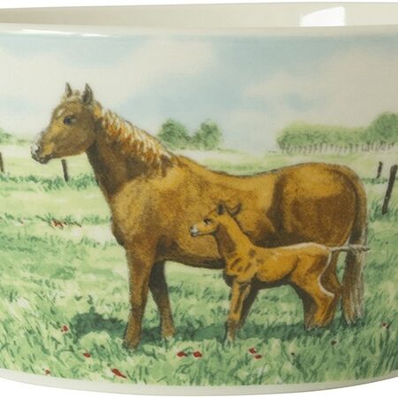 Wiebe's Farm Kom paard Ø13cm 6st | Wiebe van der Zee