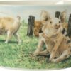 Wiebe's Farm Kom varken Ø13cm 6st | Wiebe van der Zee