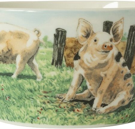 Wiebe's Farm Kom varken Ø13cm 6st | Wiebe van der Zee