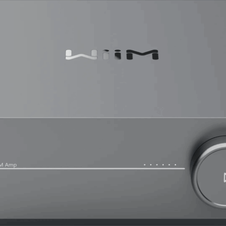 WiiM Amp Grijs