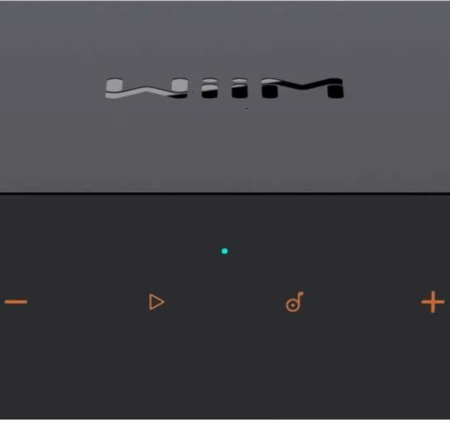 WiiM Pro Plus