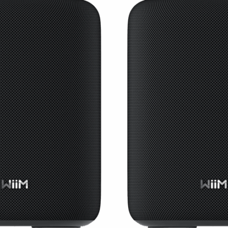 WiiM Sound Lite Twin Zwart