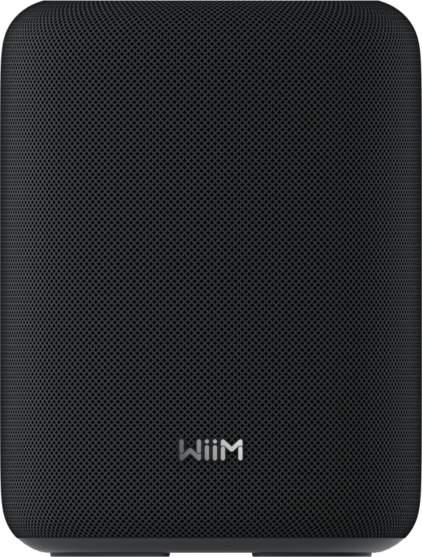 WiiM Sound Lite Zwart