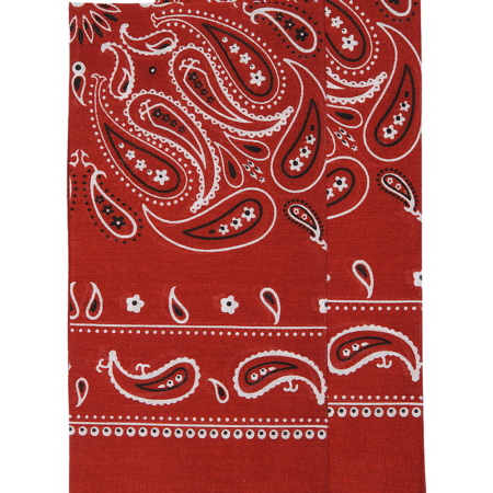 Zakdoek - Rood | Zeeman