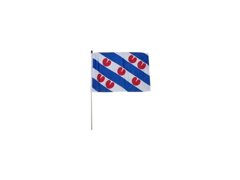 Zwaaivlag Friesland 30x45cm 12stuks | Gebro Toys