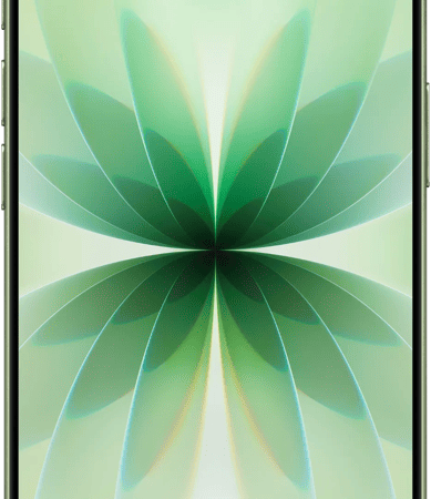 iPhone 17 256GB