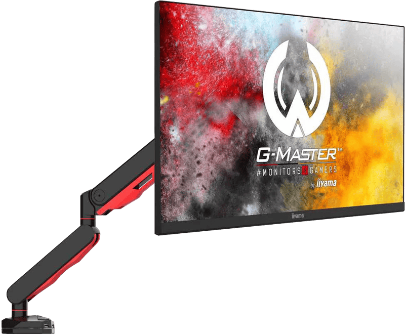 iiyama DSG3001C-R1