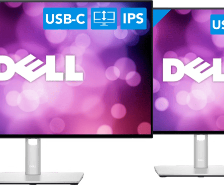2x Dell U2422H