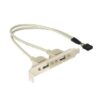 2x USB 2.0 bracket