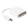 Mini Displayport naar DVI M/F 15cm