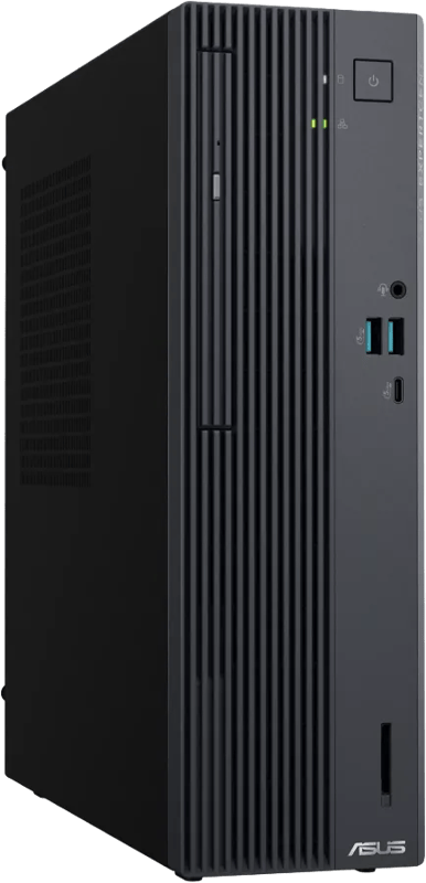 ASUS ExpertCenter P500SV-05210H009X