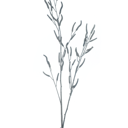 Alder branch Bavans brown 103cm