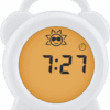 Alecto BC-100