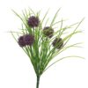 Allium Bush w / gras lt paars 39cm