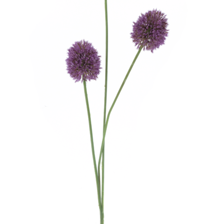 Allium spray aubergine 81cm