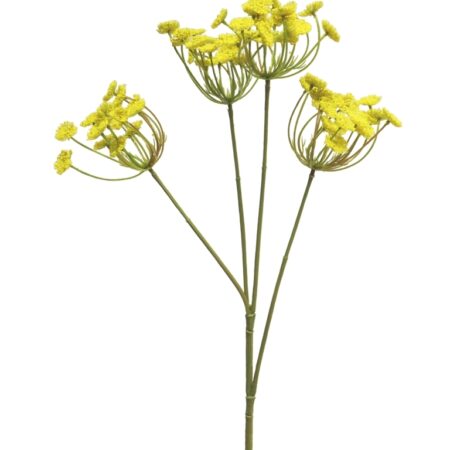 Anethum spray geel 68cm