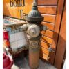 Antieke Eddy Valve Company Brandkraan - Waterford New York USA - ca. 1890-1910 | The Dutch Pickers